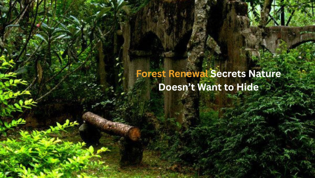 Forest Renewal Secrets Nature Doesn’t Want to Hide