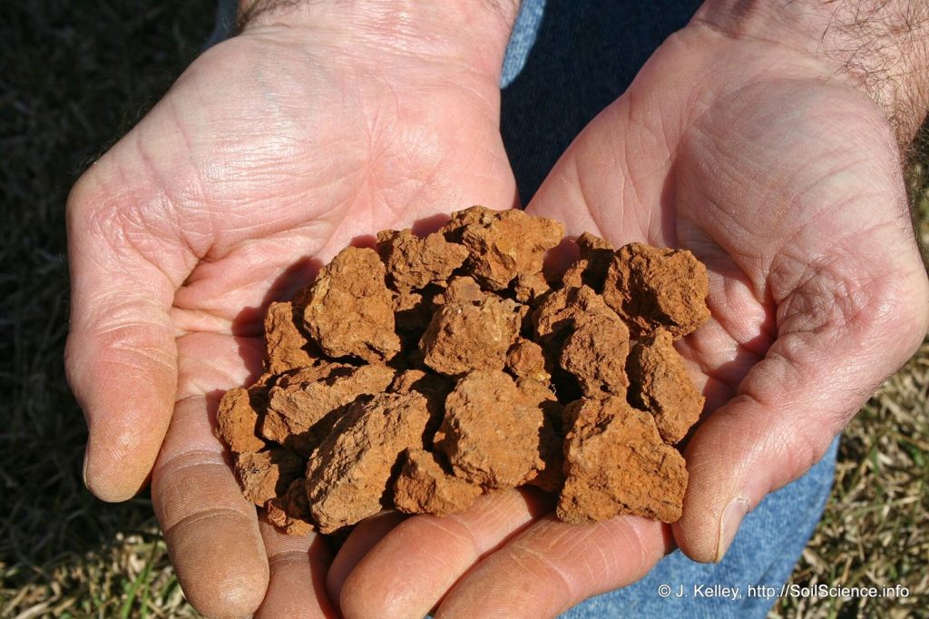 hands holding dark soil in a farm field